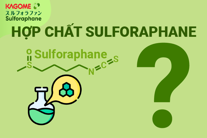 FAQ-1: Về hợp chất Sulforaphane?