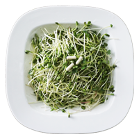 3 viên uống Kagome Sulforaphane mỗi ngày giúp Bảo vệ sức khỏe gan