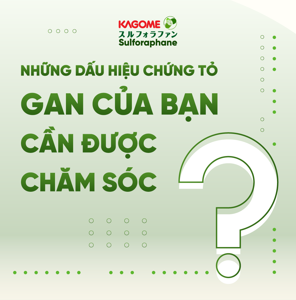 Những dấu hiệu chứng tỏ gan bạn cần được chăm sóc? Khi nào nên dùng Kagome Sulforaphane?