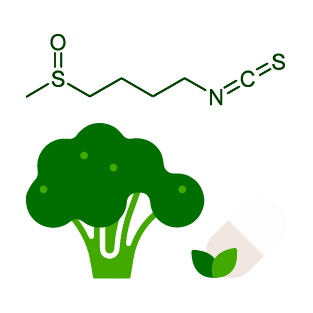 Kagome Sulforaphane chứa hàm lượng chiết xuất Sulforaphane cao 