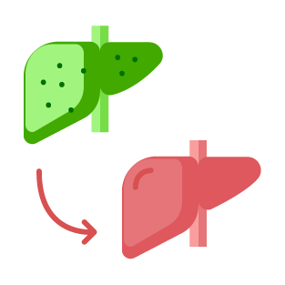 Kagome Sulforaphane - Cải thiện chức năng gan