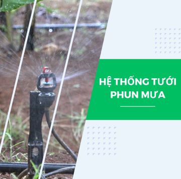 Hệ thống tưới phun mưa