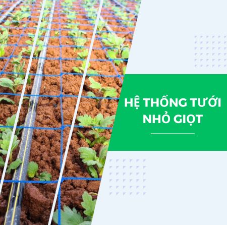 Hệ thống tưới nhỏ giọt