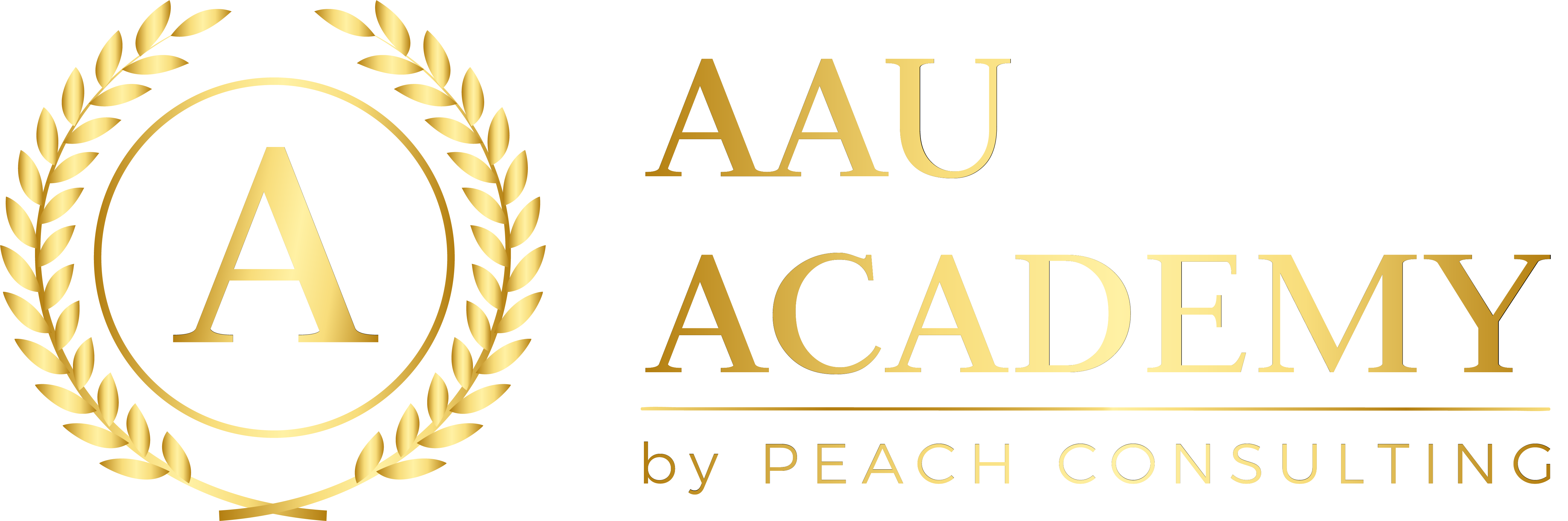 AAU Academy