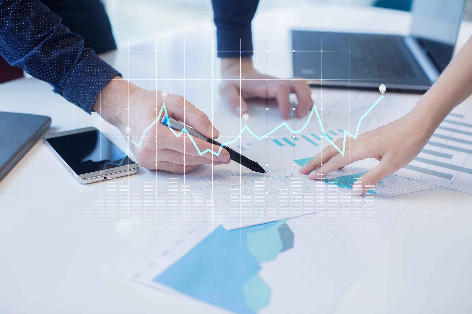 Các lĩnh vực hoạt động gồm: