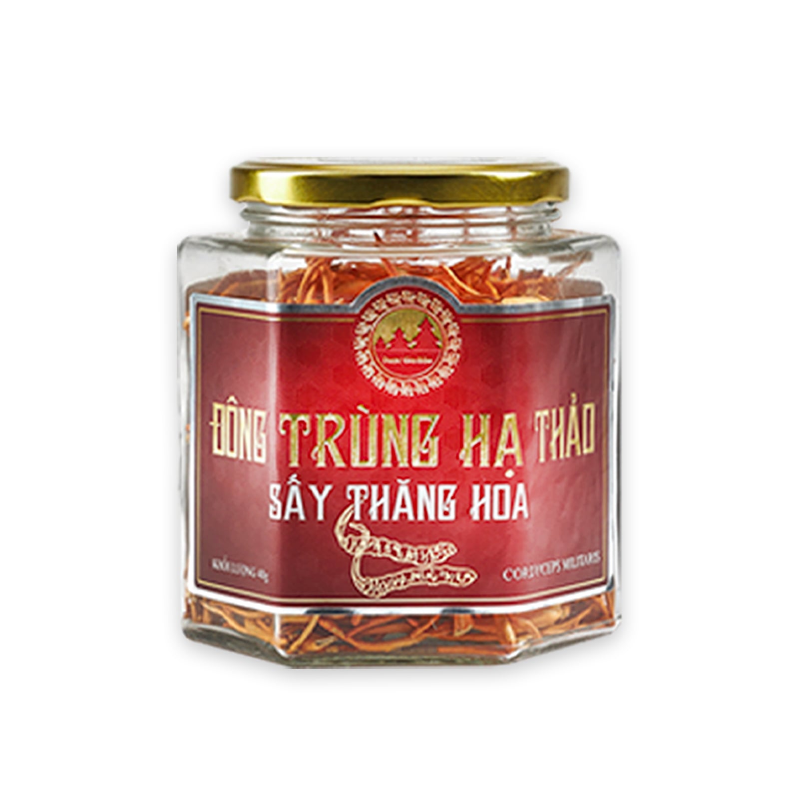 Đông Trùng Hạ Thảo Khô Sấy Thăng Hoa