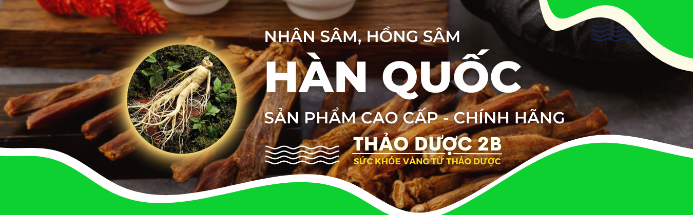 Nhân Sâm, Hồng Sâm Nổi Bật