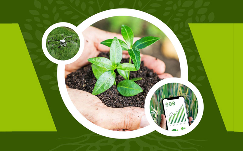 すべての生産プロセスと製品は国際認証基準を満たしています