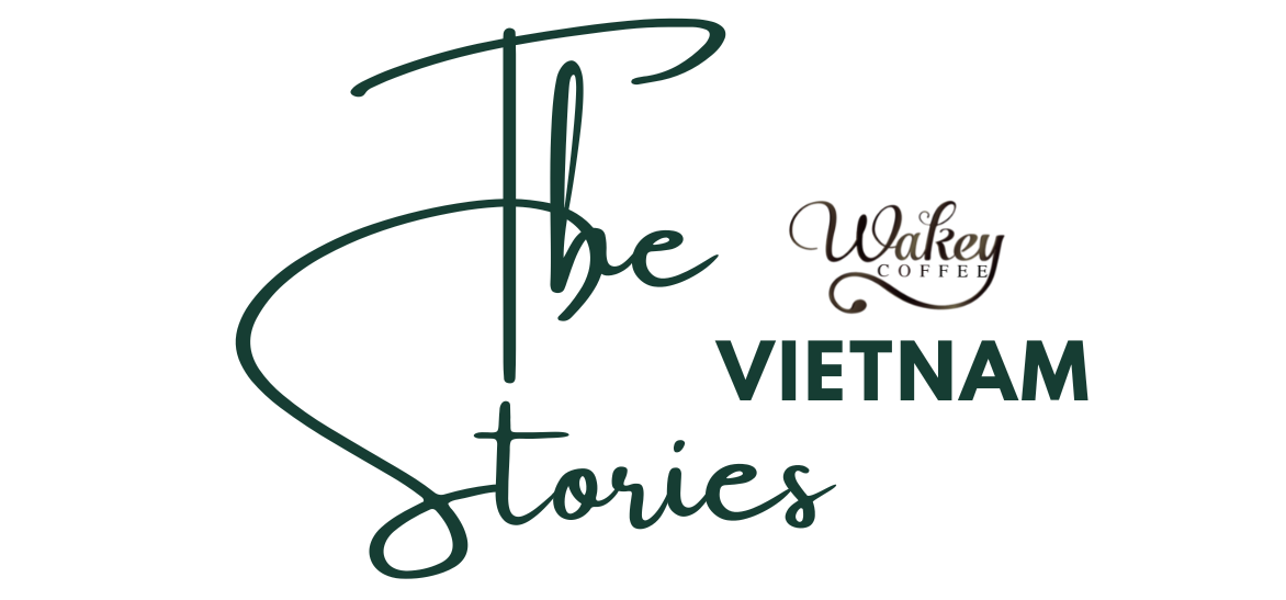 Stories-Logo