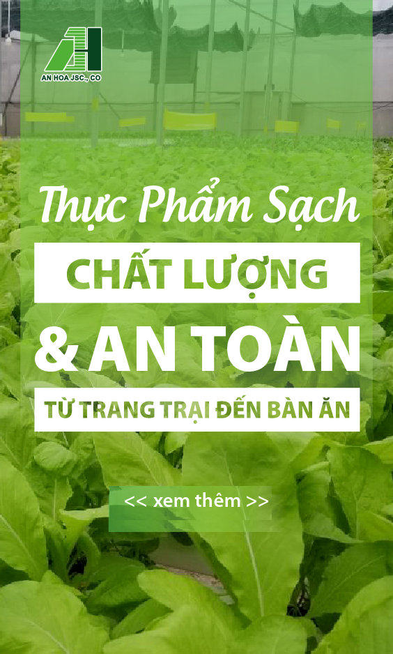 Cam Sành Vĩnh Long Vip Sz 3-5 trái/kg