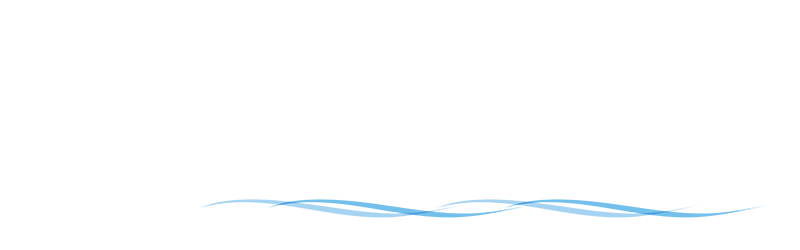 logo dila-shop