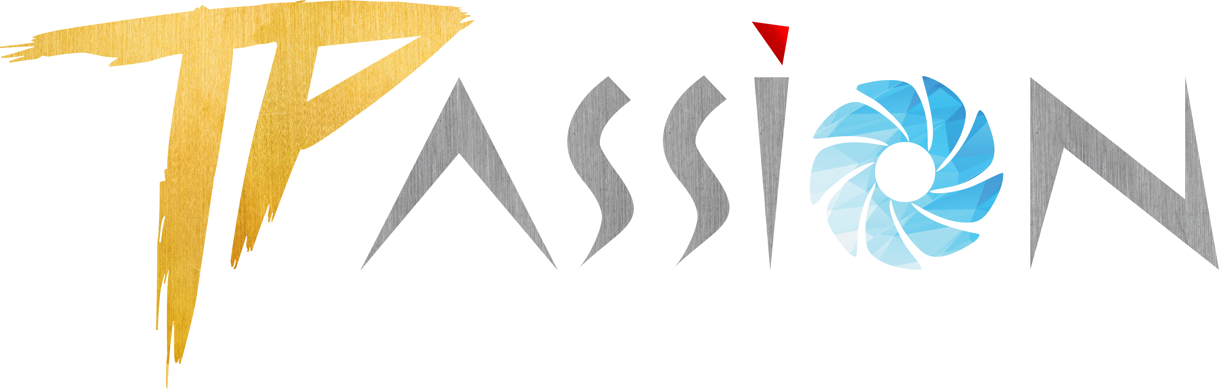 logo TPASSION STORE