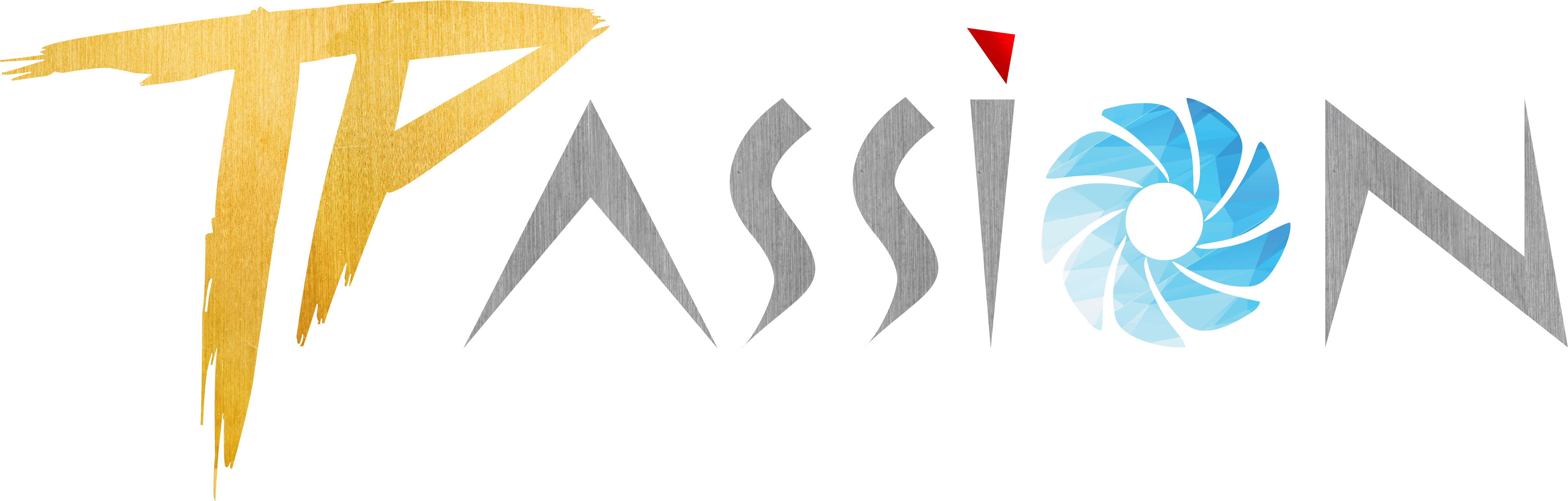 logo TPASSION STORE