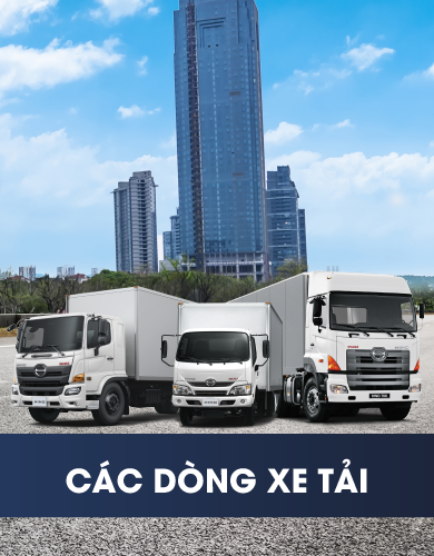 Các dòng sản phẩm tại Trường Long