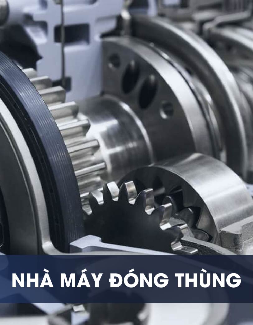 Nhà máy đóng thùng tại Trường Long