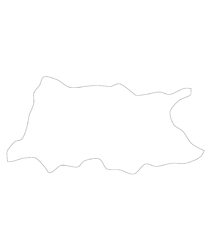 hino_truong_long_da_nang