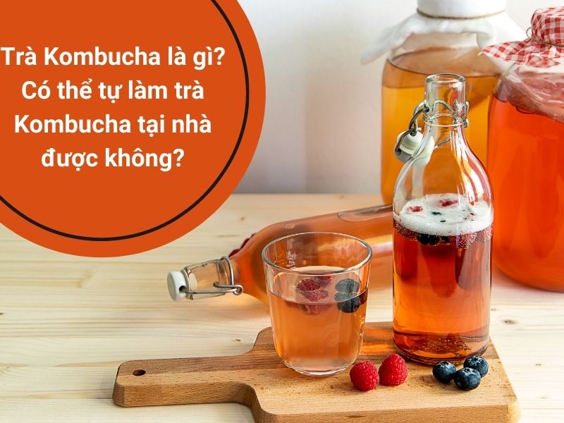 Cách thưởng thức kombucha