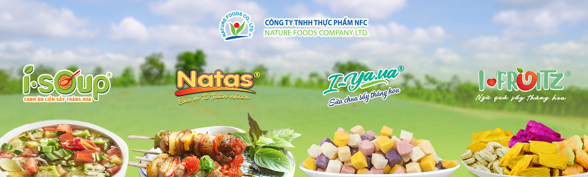 Bột gia vị tiện dụng và muối gia vị đa năng Natas