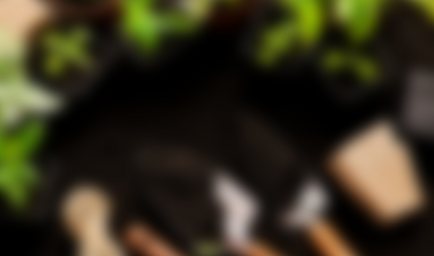 Home Banners Image 4