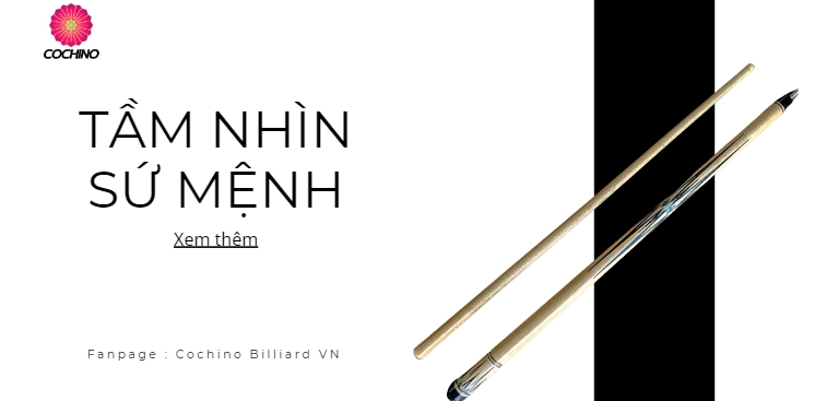 Tầm Nhìn - Sứ Mệnh của COCHINO