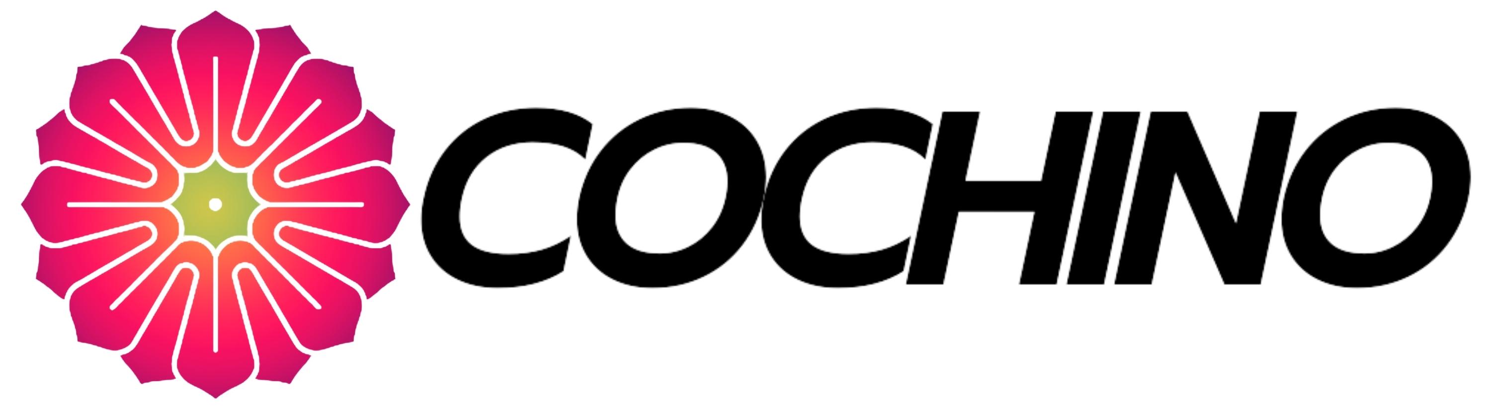 BIDA COCHINO - CƠ BIDA, BÀN BIDA, PHỤ KIỆN BIDA CAO CẤP