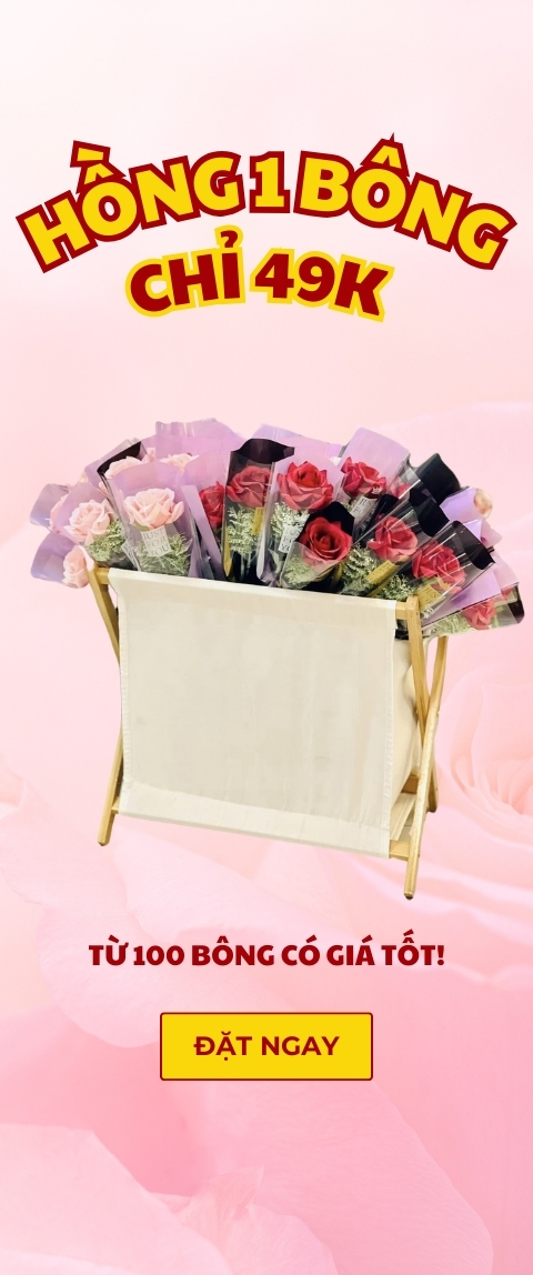 blackfriday_001_coll_banner_img_1.jpg