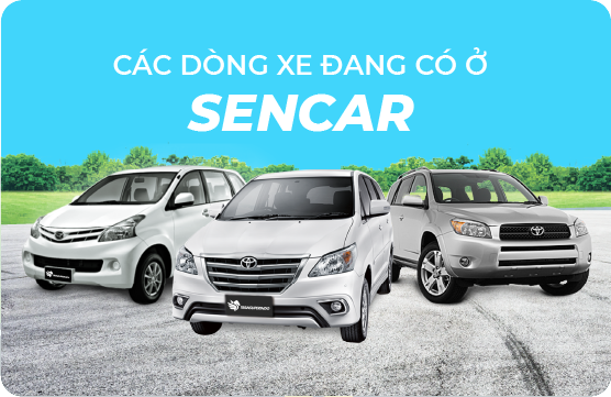 Ghé qua các sản phẩm của chúng tôi