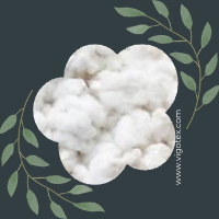 Raw Cotton