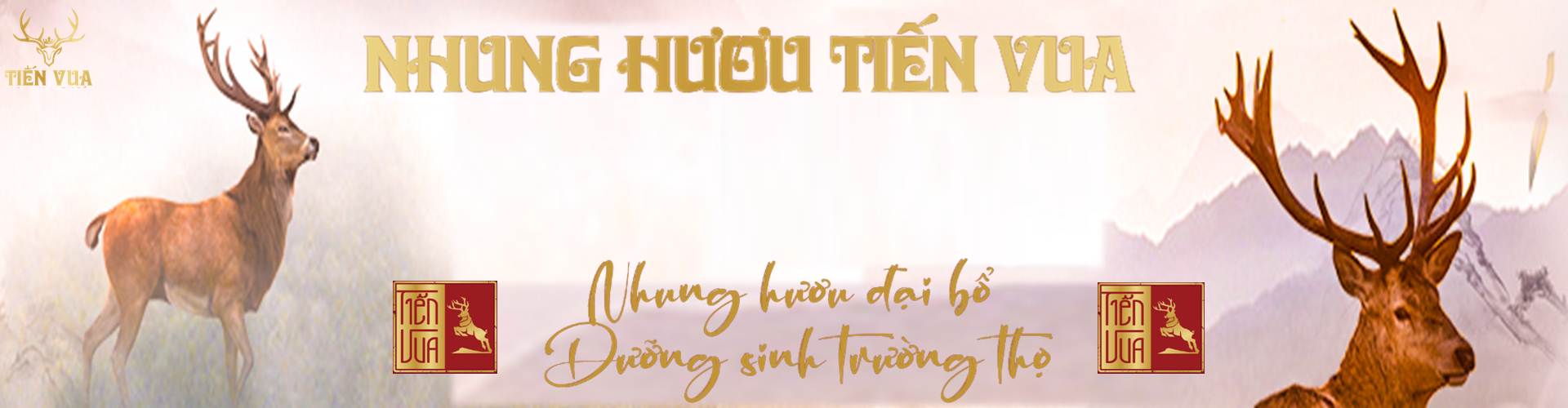 Liên hệ