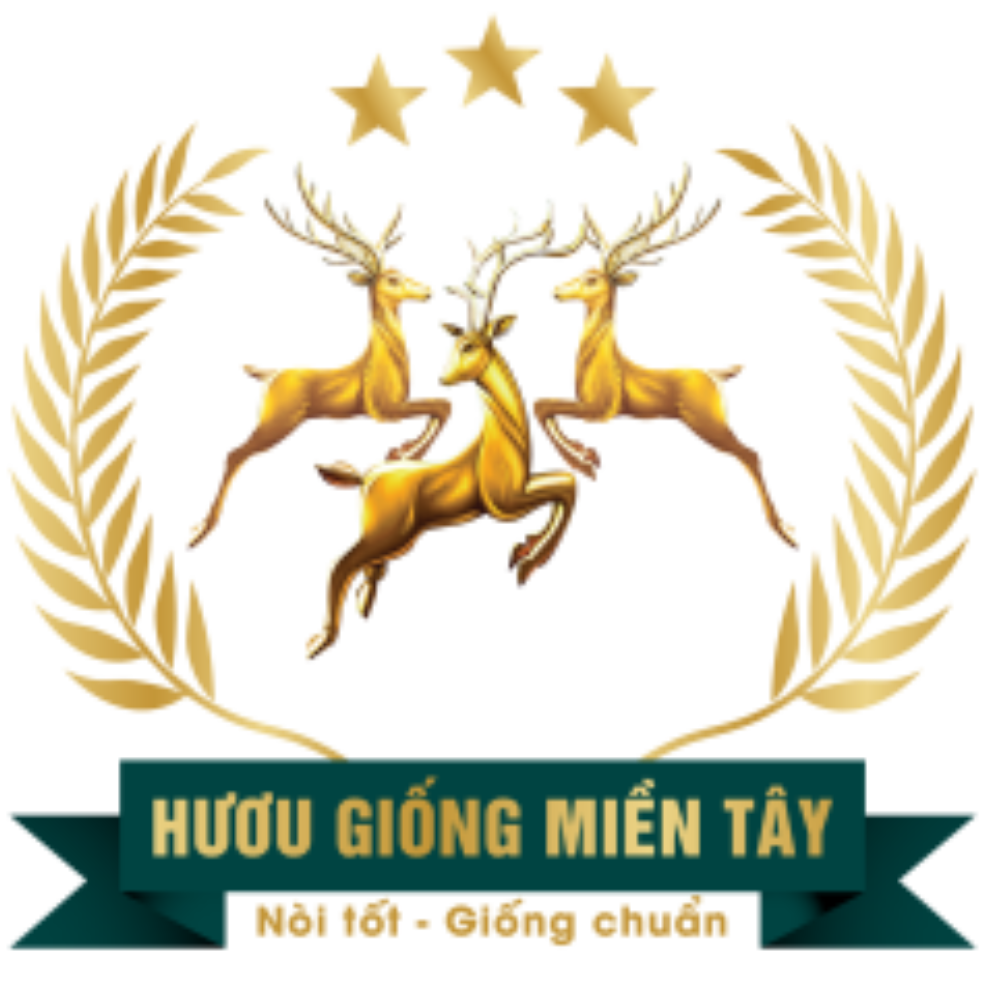 huougiongmientay