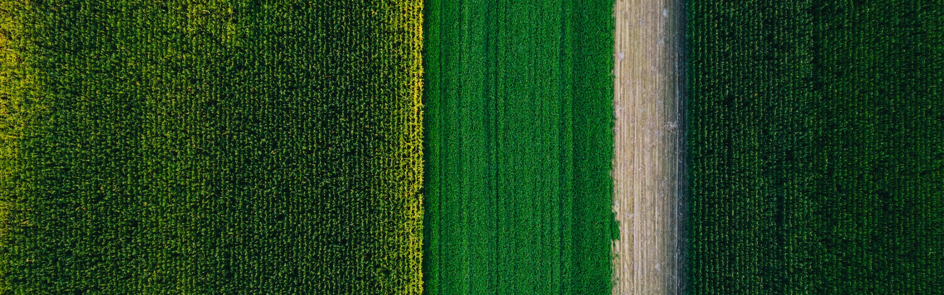 Bắp rang bơ Supremeo