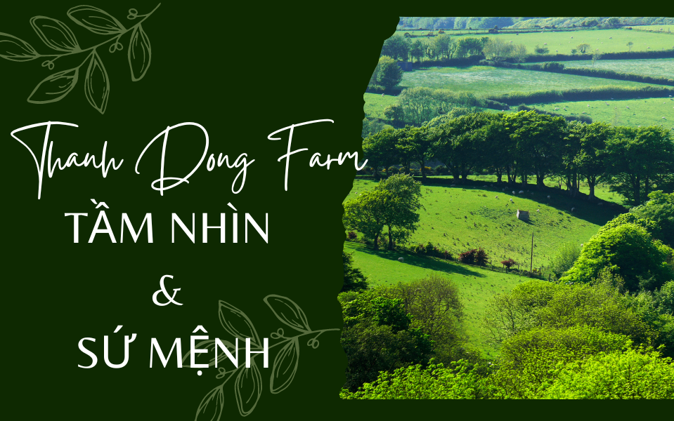 THÔNG ĐIỆP TỪ CHÚNG TÔI