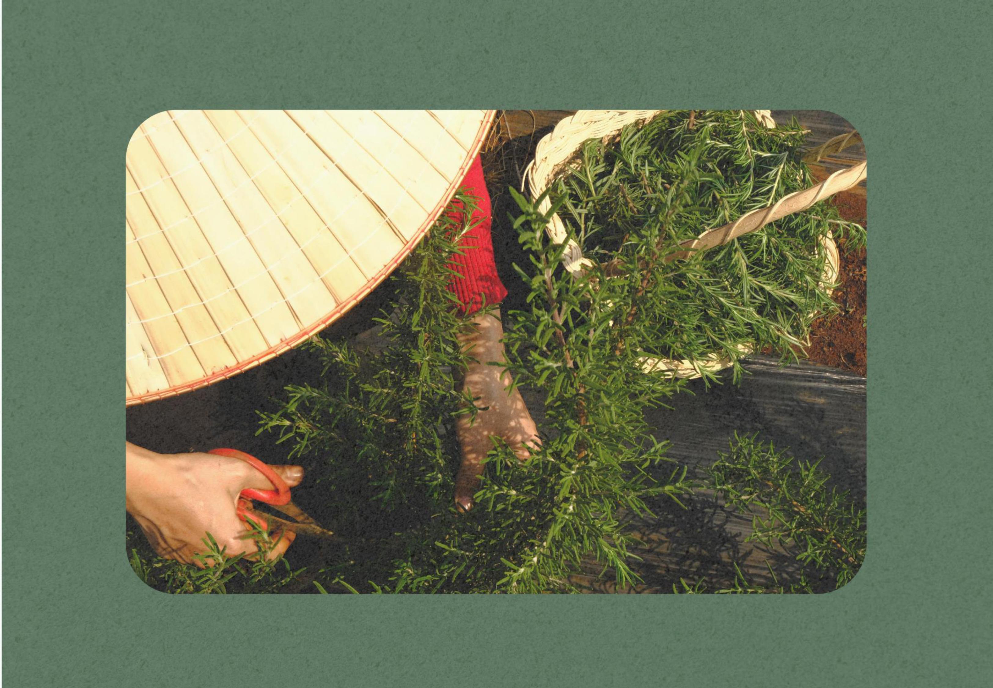 THÔNG ĐIỆP TỪ CHÚNG TÔI