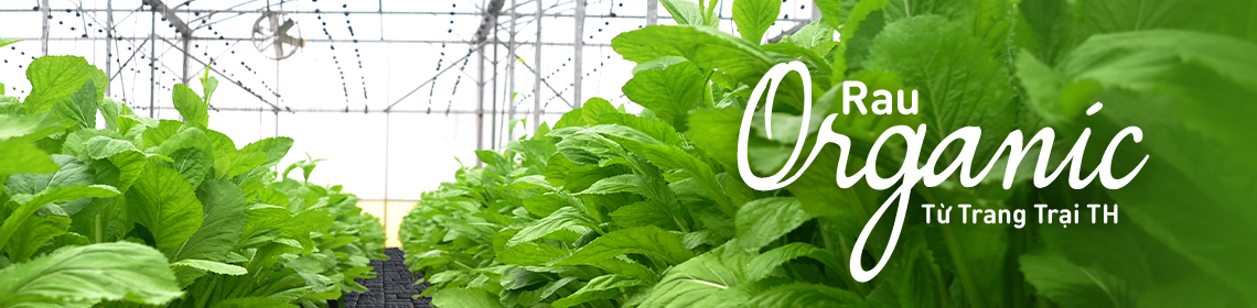 Tất cả bài viết