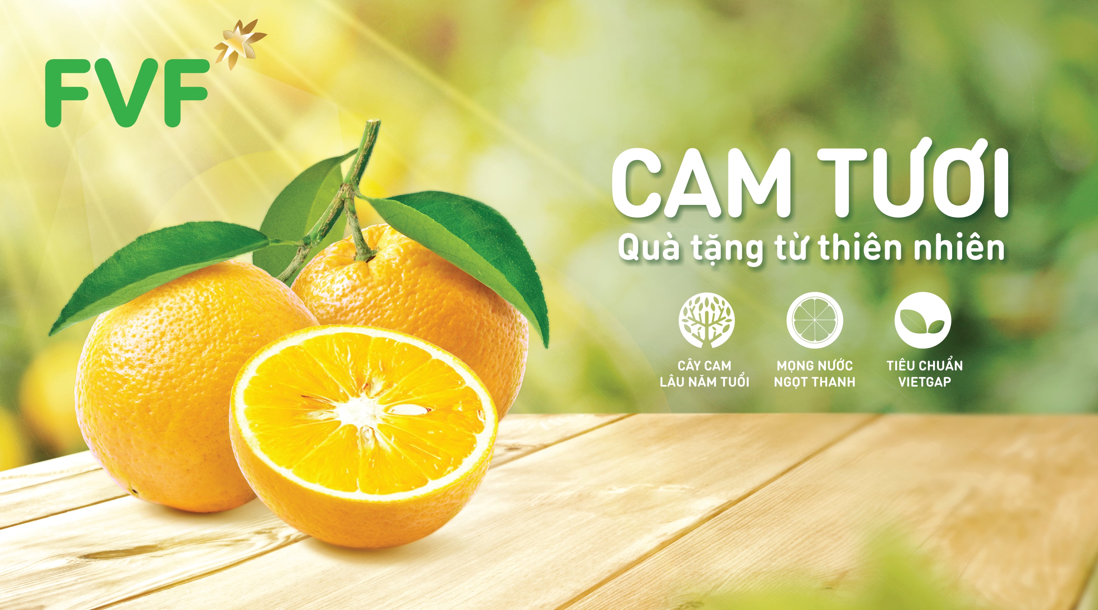 SẢN PHẨM NỔI BẬT – TH SHOP