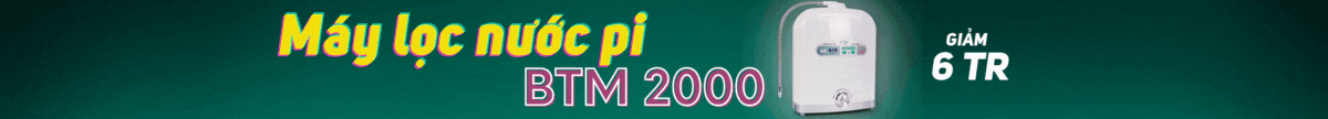 BTM 2000