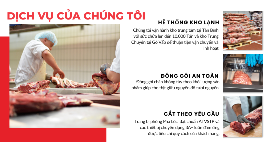 DỊCH VỤ CUNG CẤP