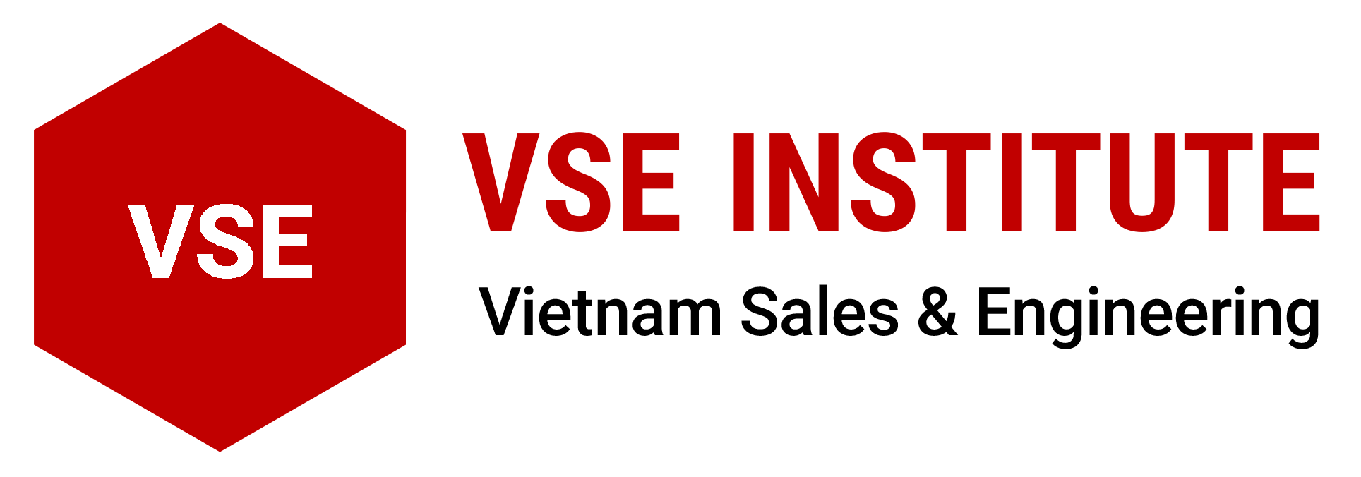 VSE Institute