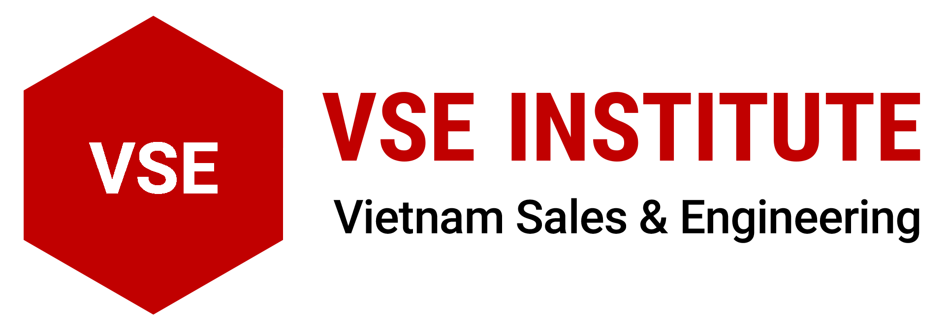 VSE Institute