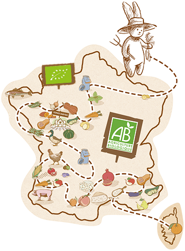 babybio <span>- 100% HỮU CƠ NỘI ĐỊA SỐ 1 TẠI PHÁP</span>