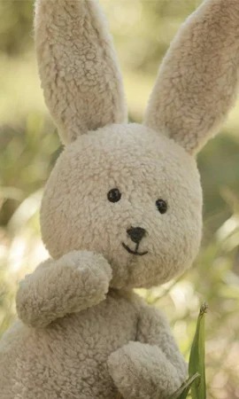 Organic Formula Milk