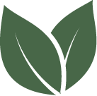 Sophora Flavescens Extract