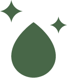 Polygonum Multiflorum Root Extract