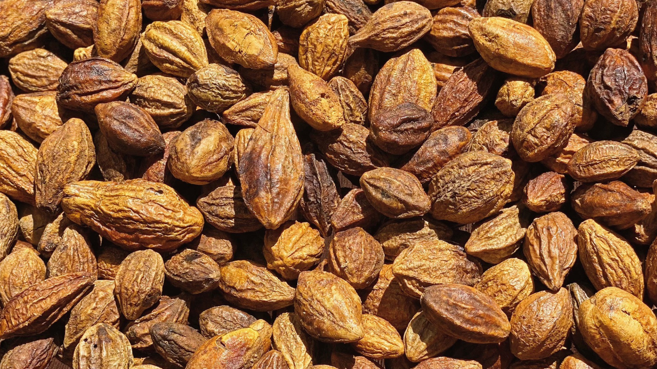 Lợi ích sức khỏe của Kha tử