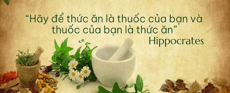 Thảo Mộc