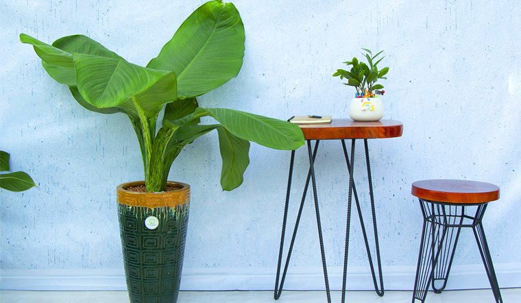 TINH HOA PHẬT HỌC