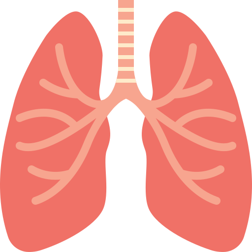 Phòng bệnh viêm phổi ở trẻ