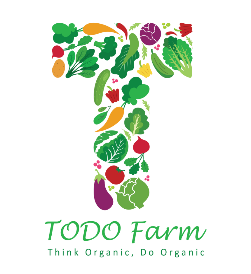 TODO Farm - Trang Trại Rau Hữu Cơ | Farmstay - Retreat