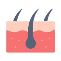 Chăm sóc tóc - da đầu