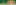 Ảnh banner
